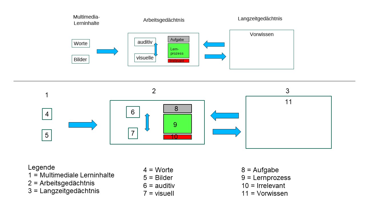Im oberen Teil der Abbildung stehen drei Rubriken ("Multimediale Lerninhalte", "Arbeitsgedächtnis" und "Langszeitgedächtnis"). Unter allen Rubriken stehen Kästen mit weiteren Begriffen wie "Worte" "Bilder" u.ä. Darunter befindet sich unter einem langen Strich dieselbe Abbildung, hier sind allerdings alle Worte und Begriffe durch die Zahlen 1 bis 11 ersetzt, die darunter in einer Legende erlutert werden.