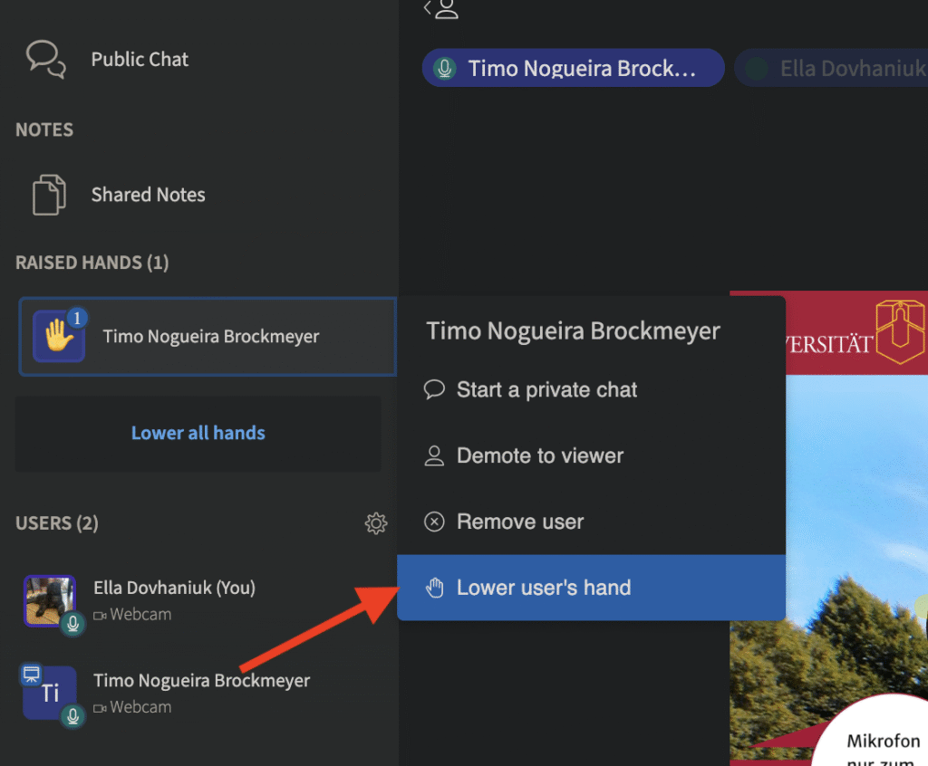Ein Screenshot zeigt den Menüeintrag zum Senken der Hand einer bestimmten Person.